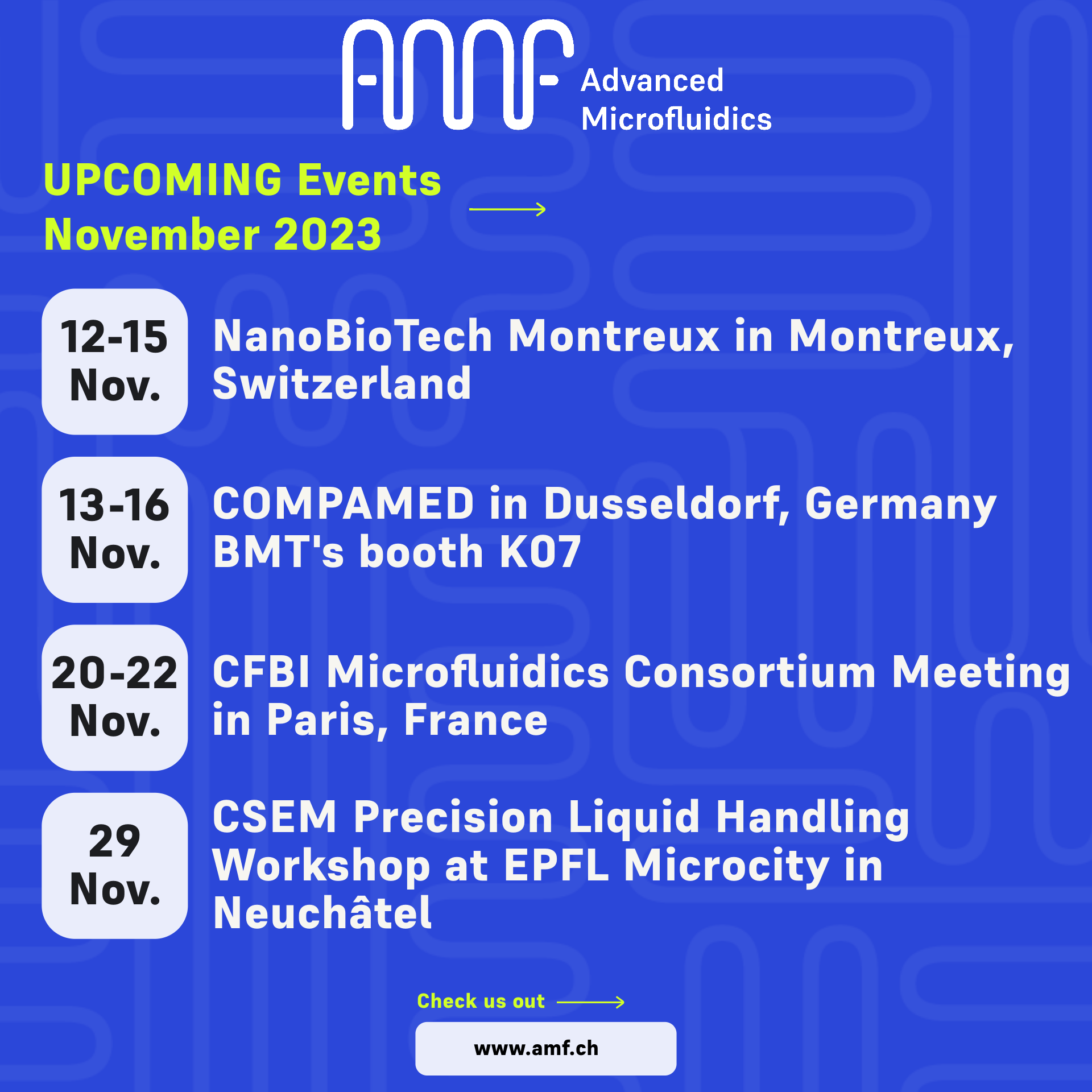 AMF - Events - November