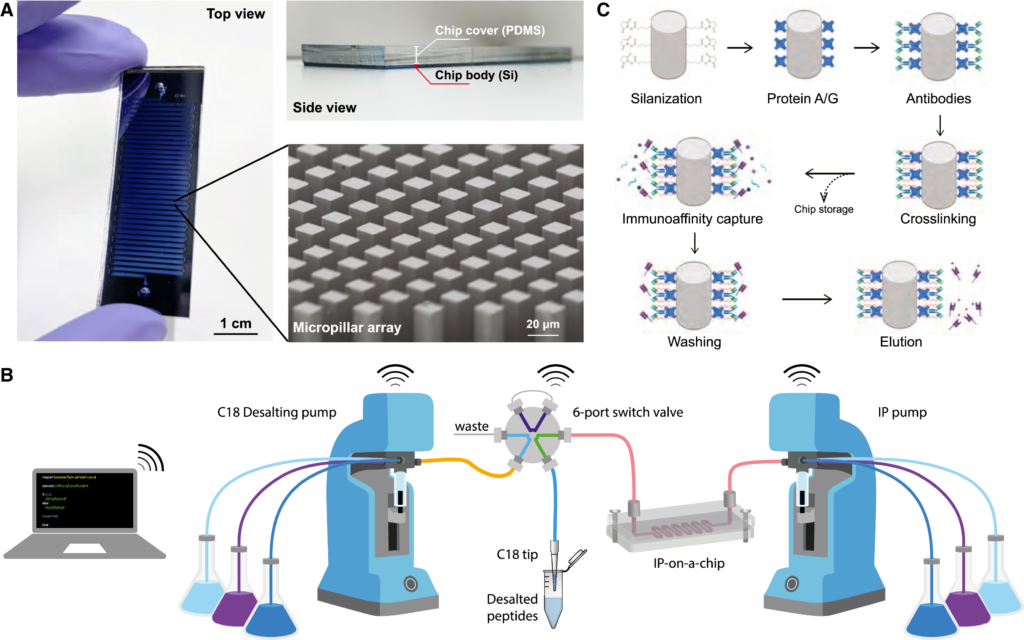 AMF - Xiaokang Li - Unleashing New Frontiers in Immunopeptidomics - AMF 2