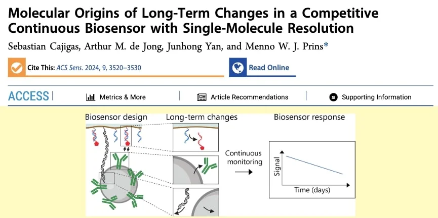 AMF-Publication - Molecular Origins of Long-Term Changes - 1
