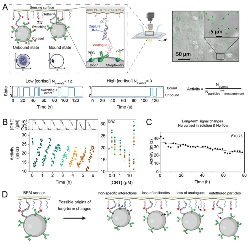 AMF-Publication - Molecular Origins of Long-Term Changes - 2