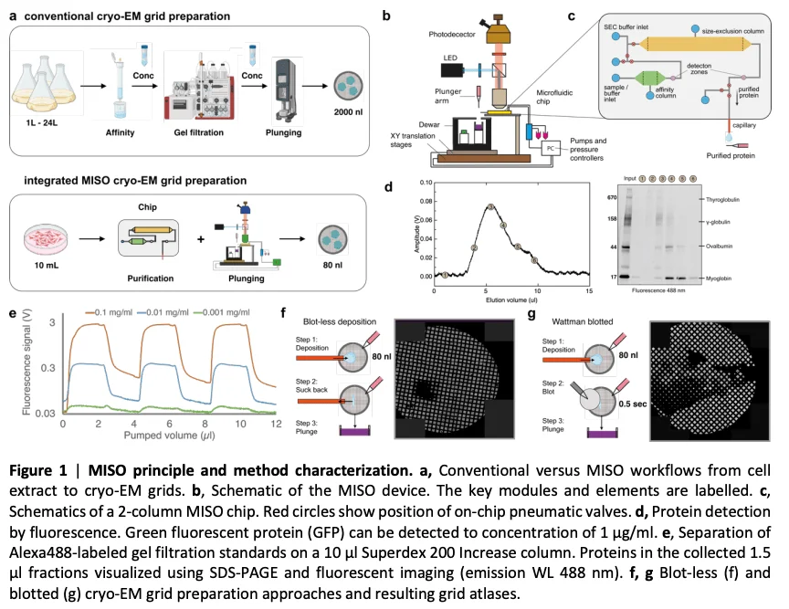 AMF - MISO Publication - Microfluidic sample preparation - 2