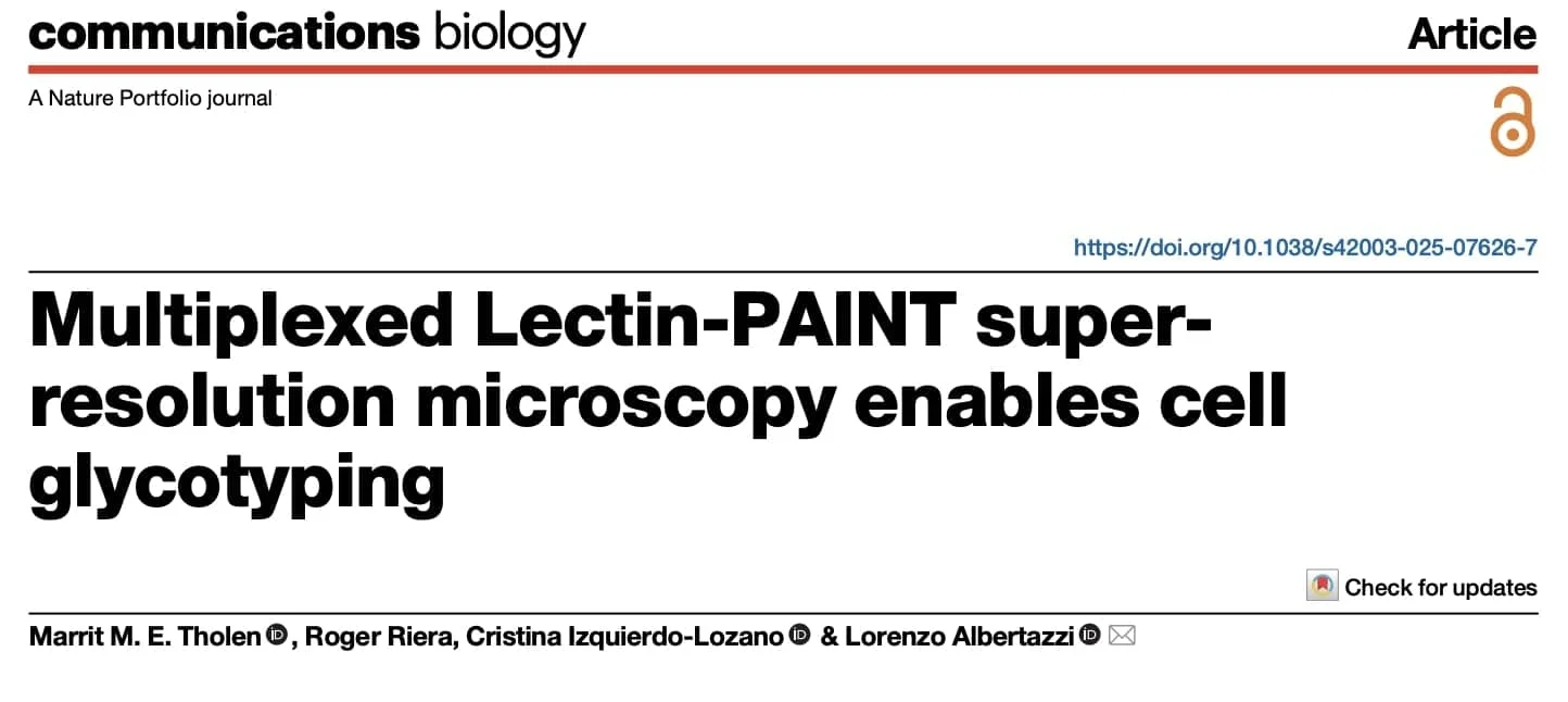 AMF-Multiplexed_Lectin-PAINT-publication-1